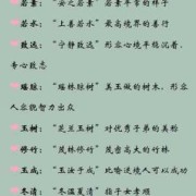 双胞胎儿子起名（哪位朋友能给双胞胎起名子啊，带成语的名字，是男孩，谢谢）