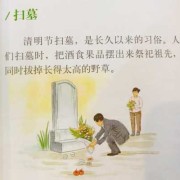 备孕中，清明能去扫墓吗,备孕期的禁忌药物
