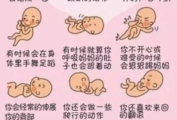 孕32周胎儿胎动姿势图（怀孕三十二周胎动厉害是什么原因）