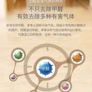 孕期去甲醛（怎么快速除房子的甲醛）