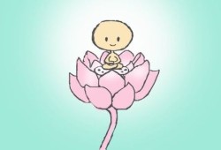 胎儿坐莲花（胎儿坐莲花命运）