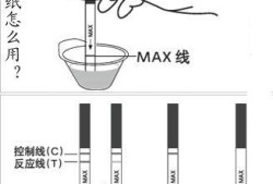 怎么测孕期（怎么测孕期时间）