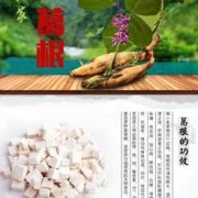 孕期可以吃葛粉吗（葛粉什么人不能喝）