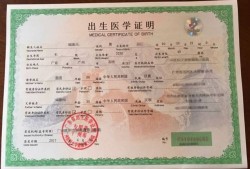出生证上写的胎数是指,胎儿医学门诊都检查什么