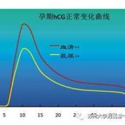 孕期hcg变化曲线（孕期hcg变化曲线图）