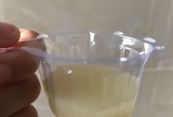 孕期尿液混浊（小便混浊是怎么了）