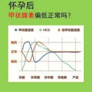 孕期甲状腺素偏低（孕期甲状腺素偏低是什么原因造成的）