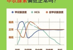 孕期甲状腺素偏低（孕期甲状腺素偏低是什么原因造成的）