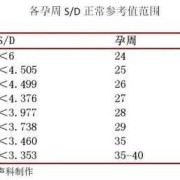 胎儿ri值是什么意思,胎儿脐血流
