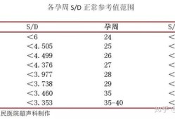 胎儿ri值是什么意思,胎儿脐血流