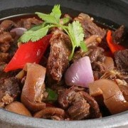 孕期可以吃狗肉吗（孕晚期可以吃狗肉吗）