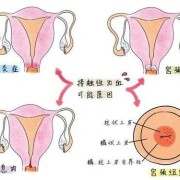 备孕期间出血什么情况（备孕期间出血什么情况啊）