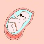 孕晚期胎儿小如何补（最后三周胎儿能长几斤呢？一般可以长几斤呀）