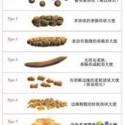 孕妇一天去3次大便是正常的吗,孕期大便次数多正常吗?