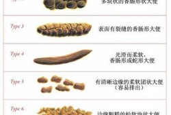 孕妇一天去3次大便是正常的吗,孕期大便次数多正常吗?