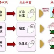 围生儿什么意思,围孕期营养管理