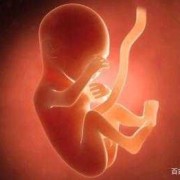 4个月胎儿在肚子里图片（四个月胎儿在肚子里的图片）