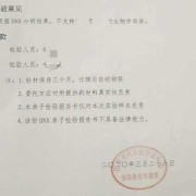 孕期dna鉴定（孕期dna鉴定和出生后结果一样吗）