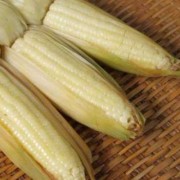 孕妇血糖高可以吃甜玉米吗？会不会有影响呢,孕期血糖高可以吃玉米吗?