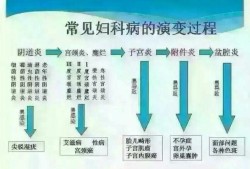 孕期妇科炎症（孕期妇科炎症）