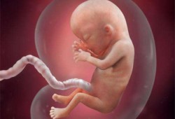 怀孕40天肚子鼓鼓的怎么回事,怀孕40天的胎儿图片