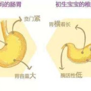 宝宝总是在胃那边一个地方鼓起来,胎儿胃大有什么危害