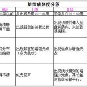 胎儿胎盘成熟度（胎儿胎盘成熟度1级什么意思）