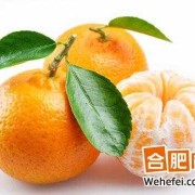 孕期可以吃桔子吗（孕期可以吃桔子吗早期）