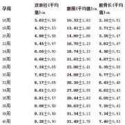 股骨长是什么意思,胎儿股骨长看男女准吗 怎么看
