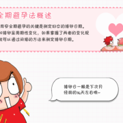 被孕期间应该注意什么（怀孕被期要注意什么）
