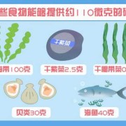 碘的应用,孕期吃什么补碘比较快些