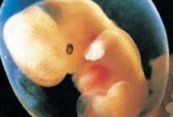 怀孕三十五周胎儿多重呢？一般情况下胎二多大合适,怀孕六个月胎儿多重正常
