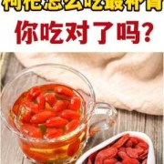 孕妇可以吃枸杞子吗,孕期如何补肾气