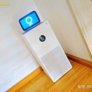 怀孕7周用米家空气净化器MAX鼻塞对胎儿有影响吗,孕期鼻塞对胎儿的影响有哪些