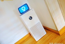 怀孕7周用米家空气净化器MAX鼻塞对胎儿有影响吗,孕期鼻塞对胎儿的影响有哪些