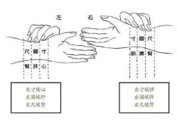 把脉能看出胎儿健康吗（把脉能看出胎儿健康吗）
