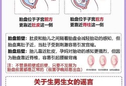 胎盘前壁与后壁有什么区别,胎儿前壁好还是后壁好呢