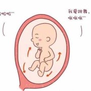 我的胎动多数在右边是怎么回事,胎儿为什么总在右边动是男孩女孩