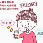 备孕期间吃叶酸（备孕期间吃叶酸）