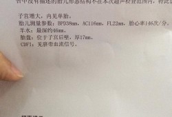 请问CDFI:探及胎心血流信号是什么意思,cdfi是胎儿的什么意思