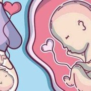 孕期下蹲会挤到胎儿吗（孕期下蹲会挤到胎儿吗图片）