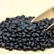 孕期吃黑豆有什么好处（怀孕初期能吃黑豆吗）