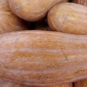 孕妇吃方瓜对胎儿好吗（孕妇吃方瓜对胎儿好吗有影响吗）