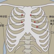 胎儿心音（胎儿心音听诊正确的是）