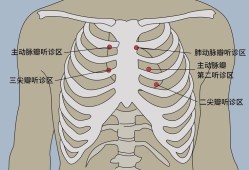 胎儿心音（胎儿心音听诊正确的是）