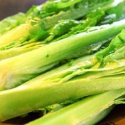 孕期可以吃莴笋吗（孕期可以吃莴笋吗早期）