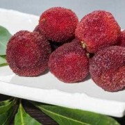 吃杨梅的十大禁忌,孕期可以吃杨梅吗?