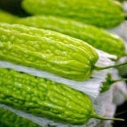 孕期可以吃苦瓜吗（孕期可以吃苦瓜吗中期）
