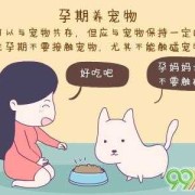 孕期能养宠物吗（孕期能养宠物吗）