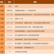 胎儿几个月发育眼睛？可以看多远的呢,胎儿双眼眶是什么意思